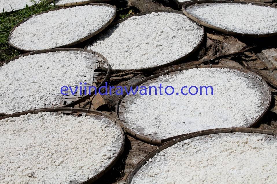 Drying palm flour