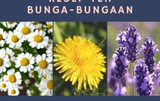 Resep-teh-bunga-bungaan