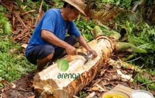 Mengenal tepung sagu langsung dari sumbernya: Seorang bapak sedang mengekstrak empulur dari batang pohon sagu di tengah hutan tropis, berdampingan dengan aneka olahan tradisional seperti papeda, kuah kuning, dan sagu mutiara.