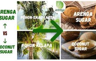 arenga sugar vs coconut sugar