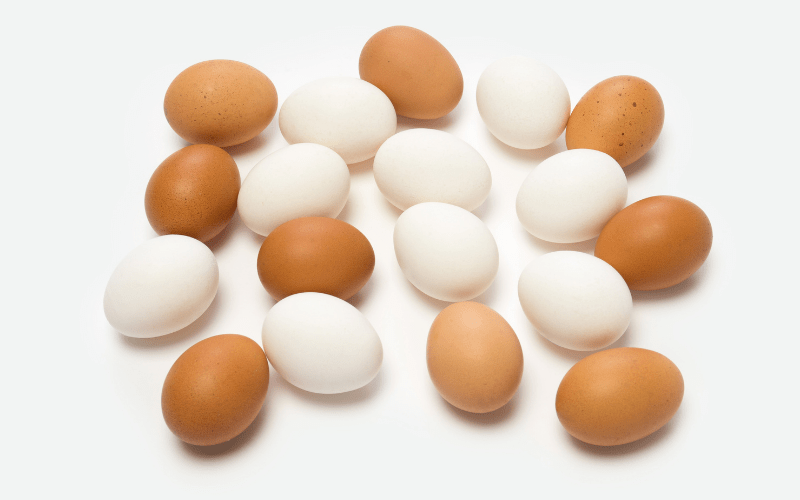 Manfaat putih telur sebagai sumber energi bebas karbon