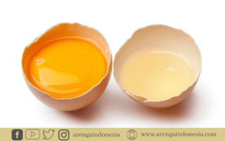 empat manfaat putih telur yang tak disangka-sangka