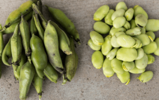 Kacang lima hijau bisa untuk camilan enak dan penuh nutrisi
