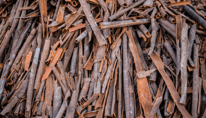 Foto kulit kayu manis yang salah satu sebab Indonesia didatangi pedagang Timur Tengah dan Eropa