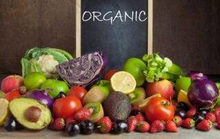 Apa-itu-makanan-organik