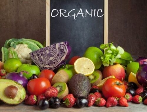 Apa itu Makanan Organik, Manfaat, Label dan Klaim