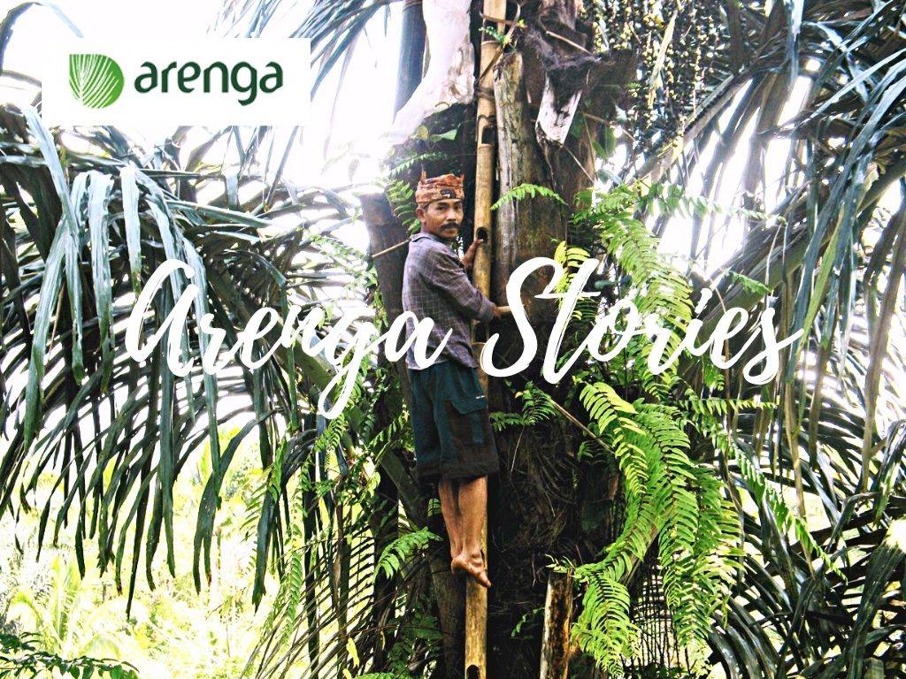 Arenga Stories, Abundent Aren Trigger the Birth of Diva