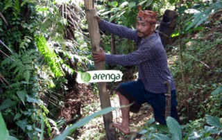 budaya dan tradisi yang melibatkan pohon aren di indonesia