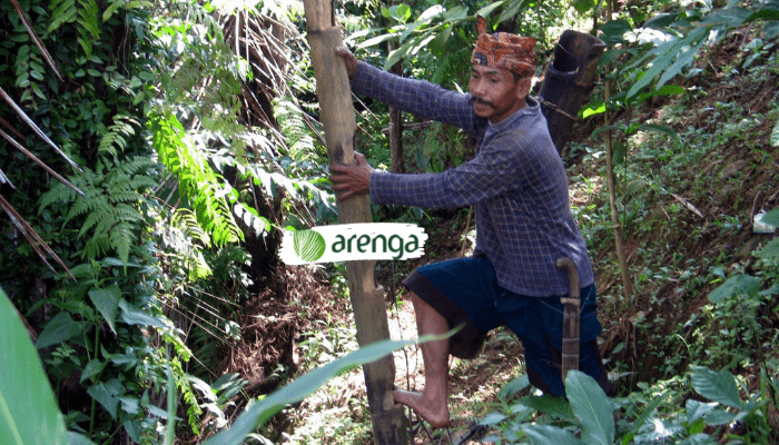 budaya dan tradisi yang melibatkan pohon aren di indonesia