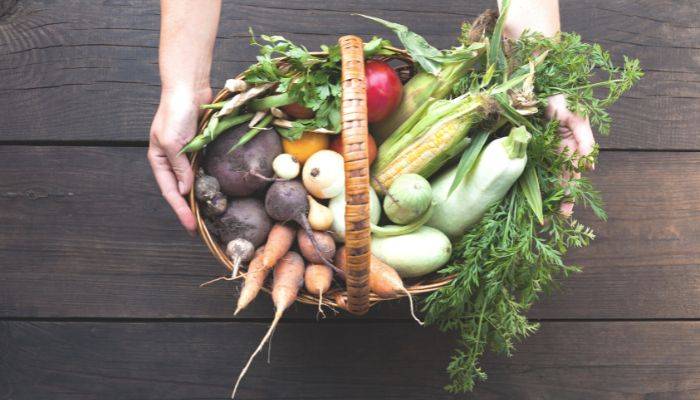 Mengapa Memilih Makanan Organik: Keuntungan dan Alasan Penting untuk Kesehatan dan Lingkungan