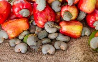 Manfaat kacang mete untuk kecantikan, nutrisi dan sejarah