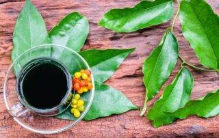 Manfaat jus daun cuing atau bai yang juice untuk kesehatan