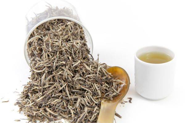 Foto teh putih yang terbuat dari pucuk daun teh, tunas muda daun teh