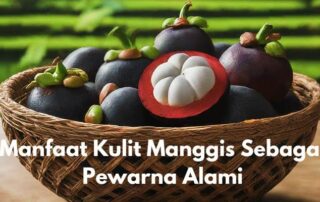 manfaat kulit manggis sebagai pewarna alami