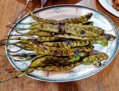 Petai Dalam Ragam Masakan Indonesia