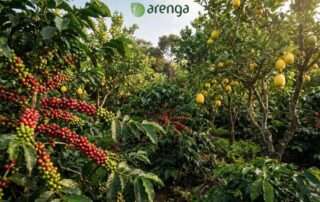 Sifat higroskopis kopi