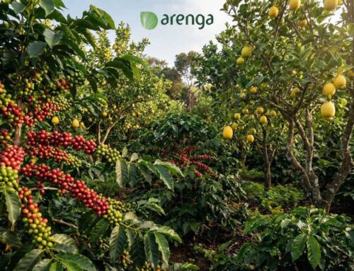 Sifat Higroskopis Kopi, Mengapa Aroma Kopi Begitu Sensitif?