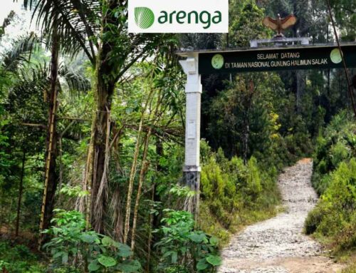 Menembus Kabut Halimun: Menemukan “Emas Hitam” di Hutan Larangan
