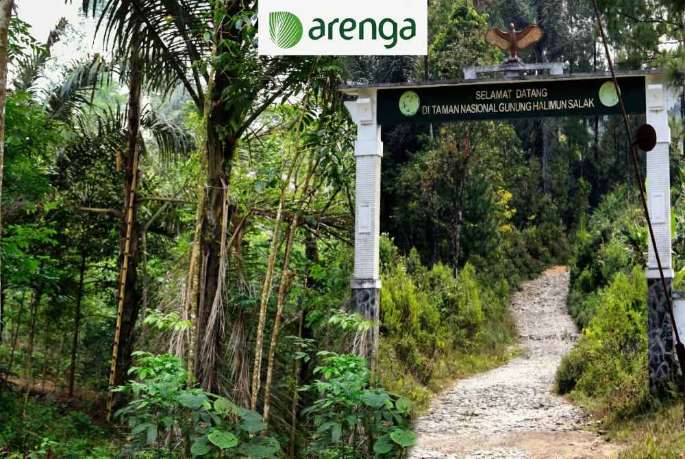 gula-aren-pegunungan-halimun-kearifan-lokal