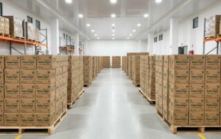 rekomendasi brand palm sugar terbaik