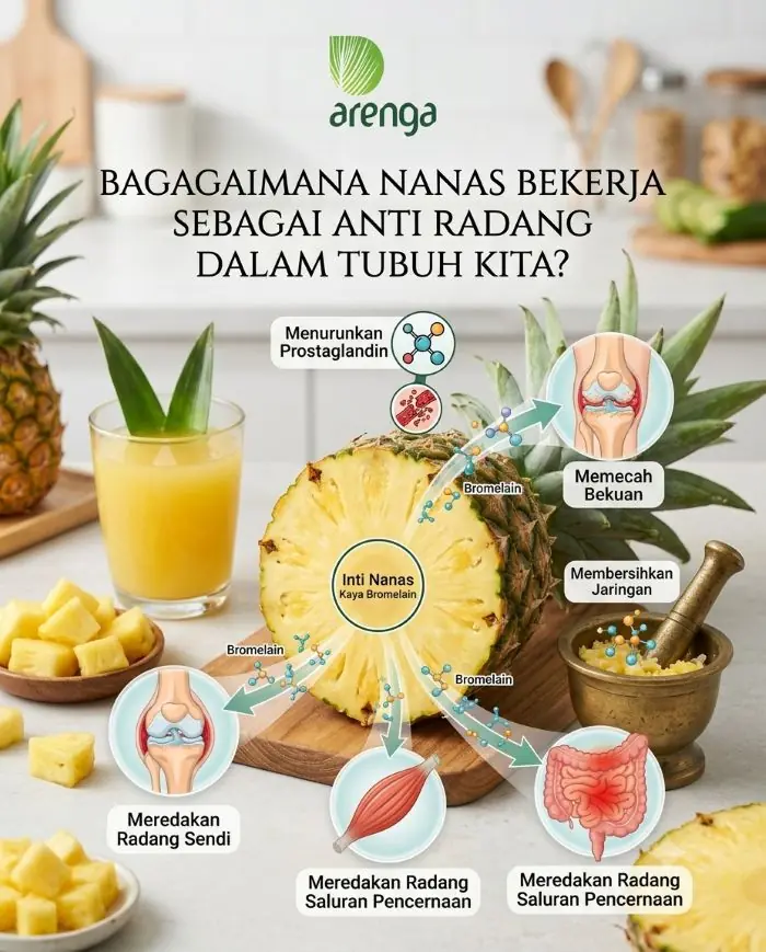 Foto ilustrasi bagaimana nanas bekerja sebagai anti radang dalam tubuh kita